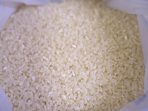 ２種類の味噌に使う麹のもとになる米は継続して町内産の米を使いたいが、農業の後継者不足という懸念もある。