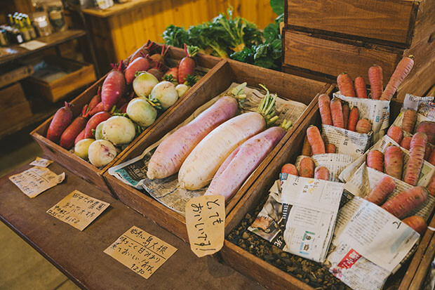 雲仙市にある〈タネト〉で売っている在来種や固定種の野菜。