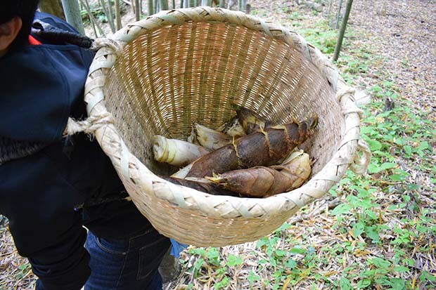 石井食品の従業員も時には山へ入るのだとか。
