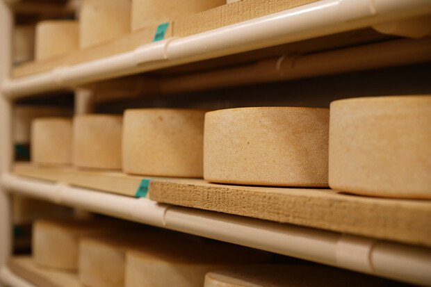 生乳からチーズを製造する過程で約90％がホエイとして排出される