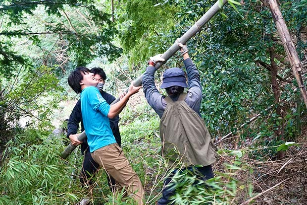 切り出した竹を引っ張る男性たち
