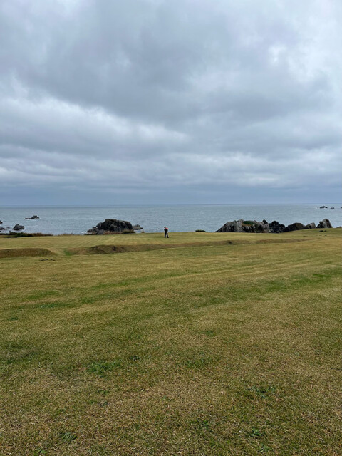 種差海岸には日本では珍しい天然芝が広がる。
