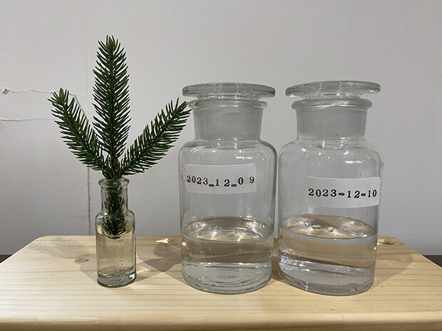 アカエゾマツの蒸留実演で採取した芳香蒸留水は、保存瓶に移し替えておく。時間の経過とともに変化するのもおもしろい。