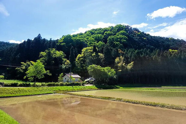 現在募集している鹿沼市の物件は、周囲を山や田んぼに囲まれている。
