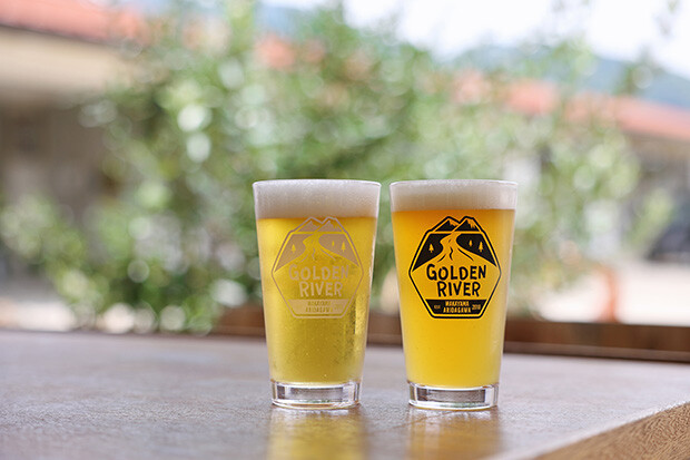  （写真左）軽快な飲み心地の「Nomcraft Lager」。（写真右）ホップとアロマの苦味をしっかりと堪能できる「Nomcraft IPA」。