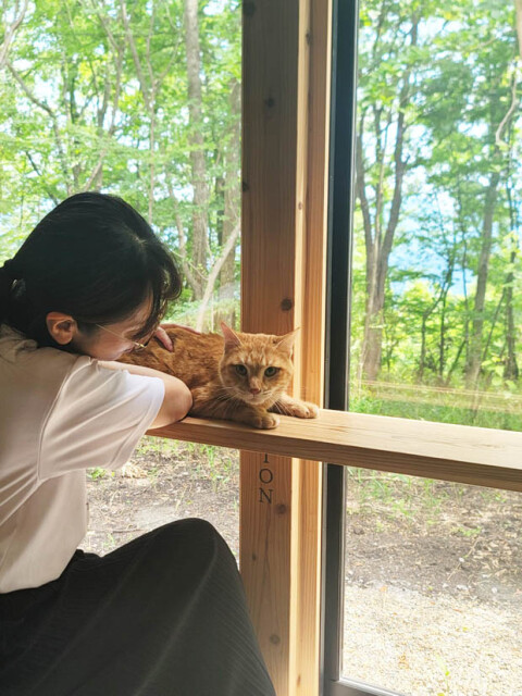 保護猫と過ごす様子。