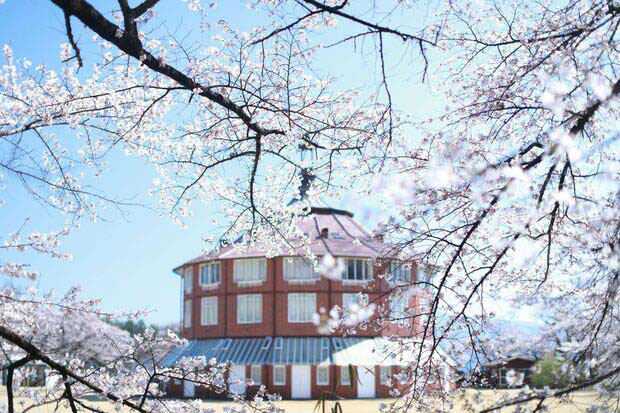 〈清春（きよはる）芸術村〉