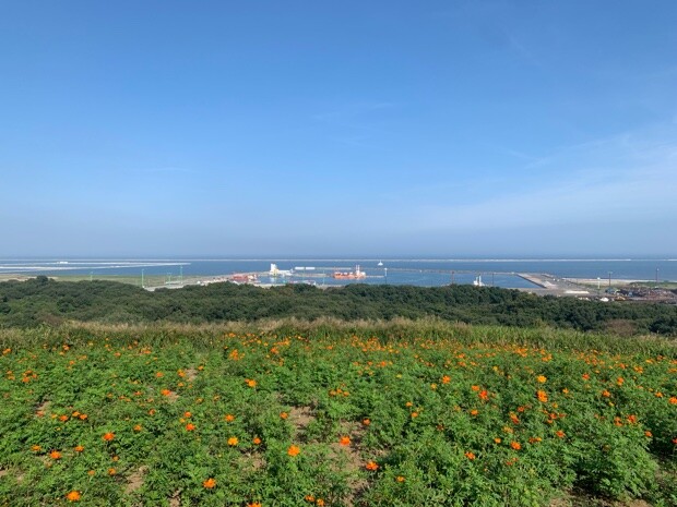 最高地点から見た太平洋。