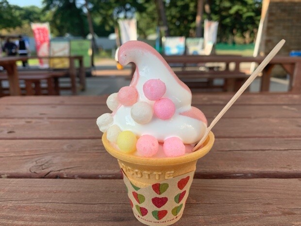 「まるころコキアソフト いちごミックス」500円。