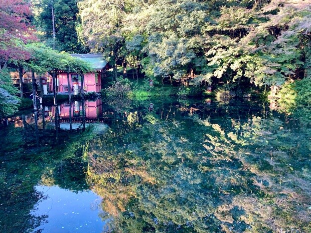 良縁のご利益がある「湧玉池」。