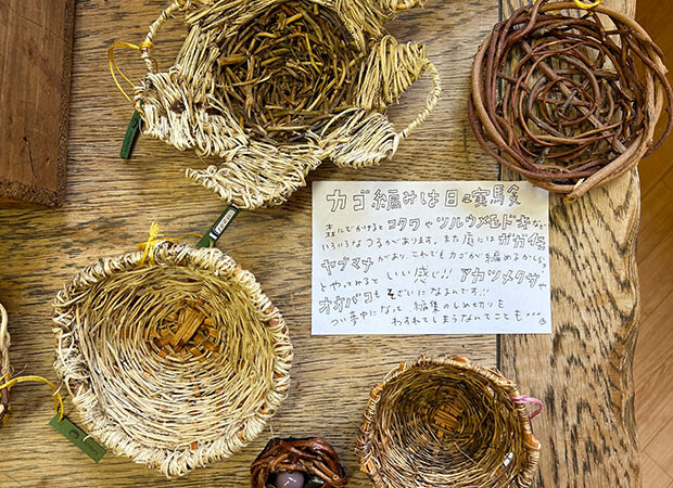 ツル性の植物ならなんでも編めるのかな？　と思い、雑草のようにどこにでも繁殖するガガイモやヤブマメなども素材にしている。