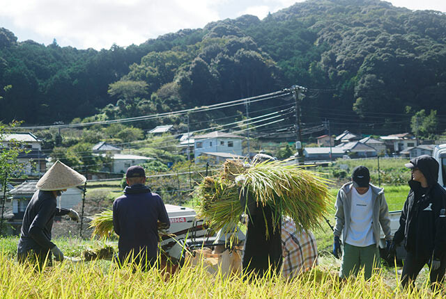 稲刈りに参加した友人たち