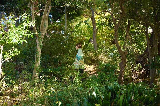 「食べられる庭」にはさまざまな木々が生い茂る。