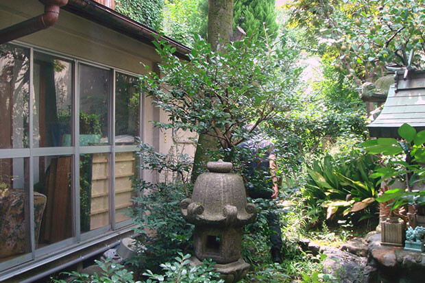 敷地の奥にある庭（工事前）。お祖母さんの趣味の気配が残りながら、木々や草花が野生化していた。
