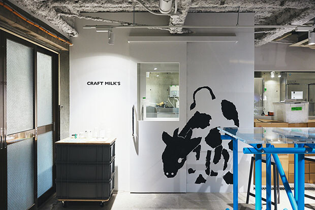 CRAFT MILK’S PROJECT