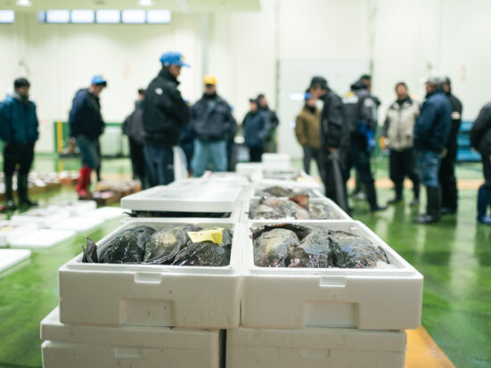 箱の魚