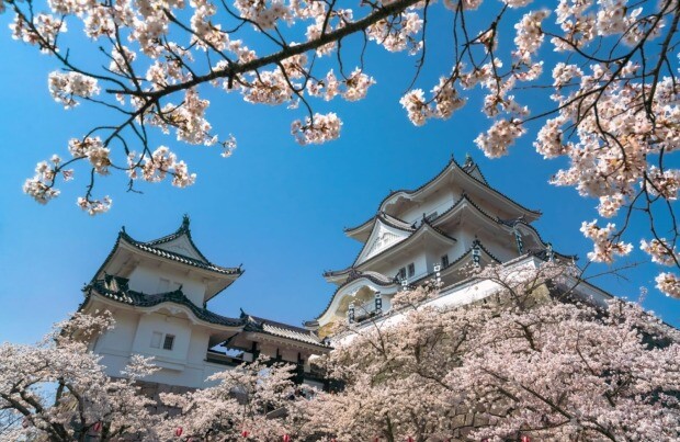 桜の時期は多くの観光客が訪れる。