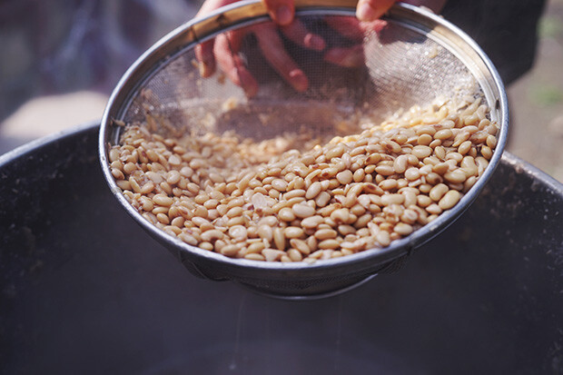 茹で上がった大豆をザルに入れている写真。
