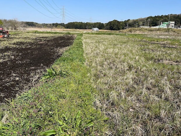 左が荒起し後の田んぼ。