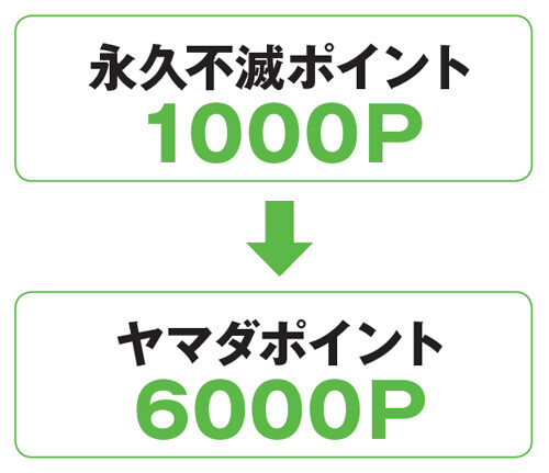 特典は様々 コンビニ スーパー 百貨店など日常の買い物でトクするカード12選 コラム 緑のgoo