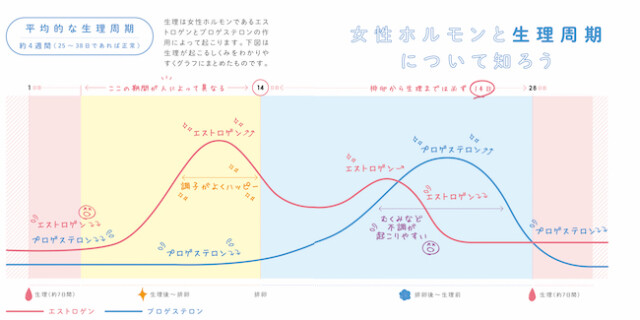 産婦人科医が教える 生理とホルモン周期に合わせたスキンケア ダイエット法 コラム 緑のgoo