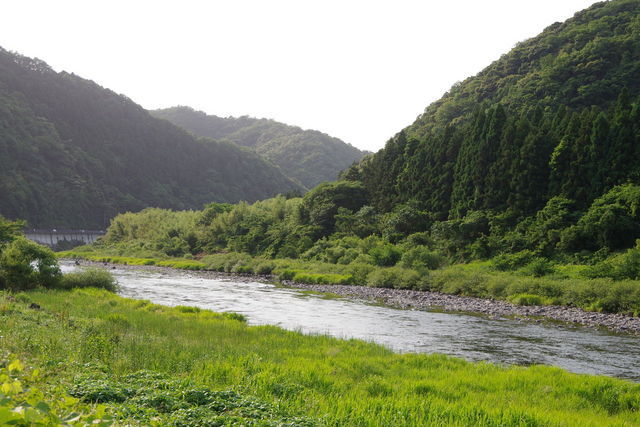 美しき清流「高津川」を巡る美食旅27