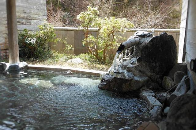 حسنا معسكر Nishitanzawa Onsen الصورة