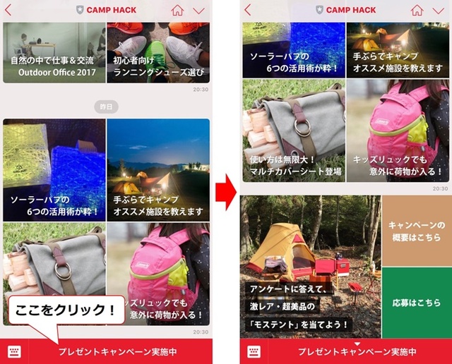 キャンペーン