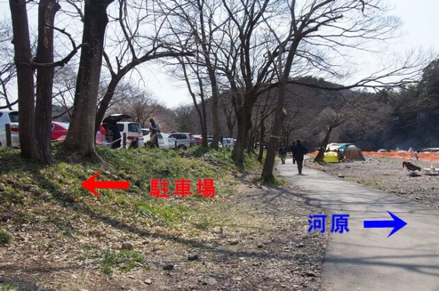 巾着田と駐車場