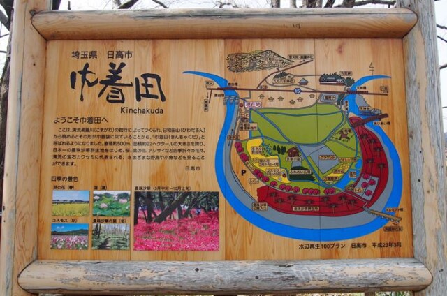 巾着田