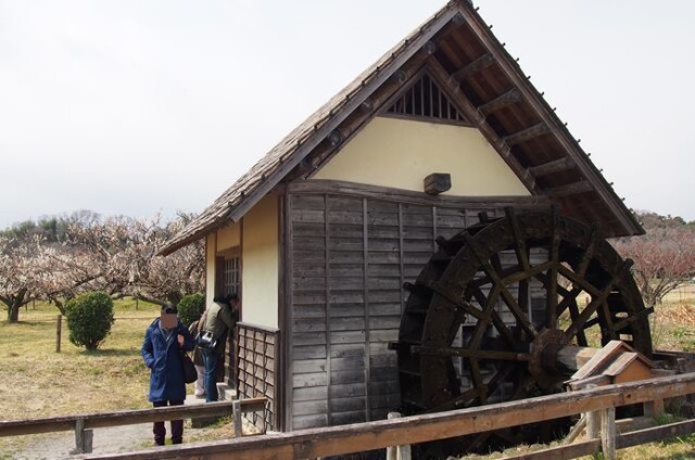 巾着田の水車