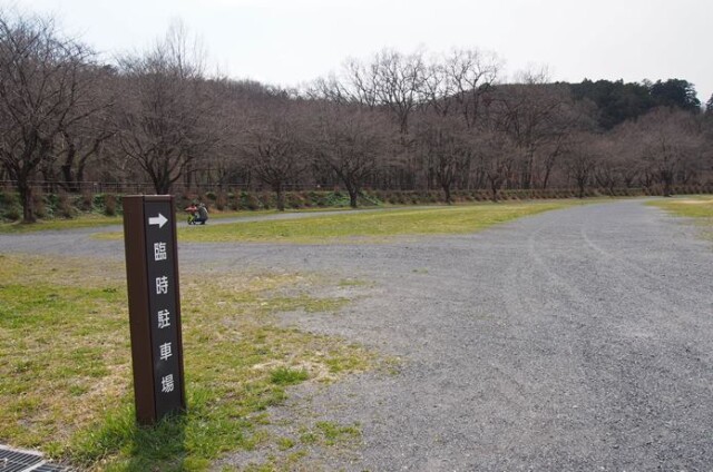 巾着田 臨時駐車場
