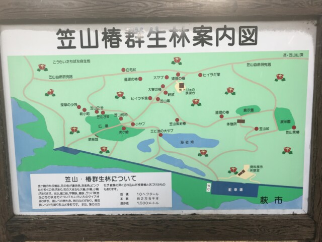 群生林の地図