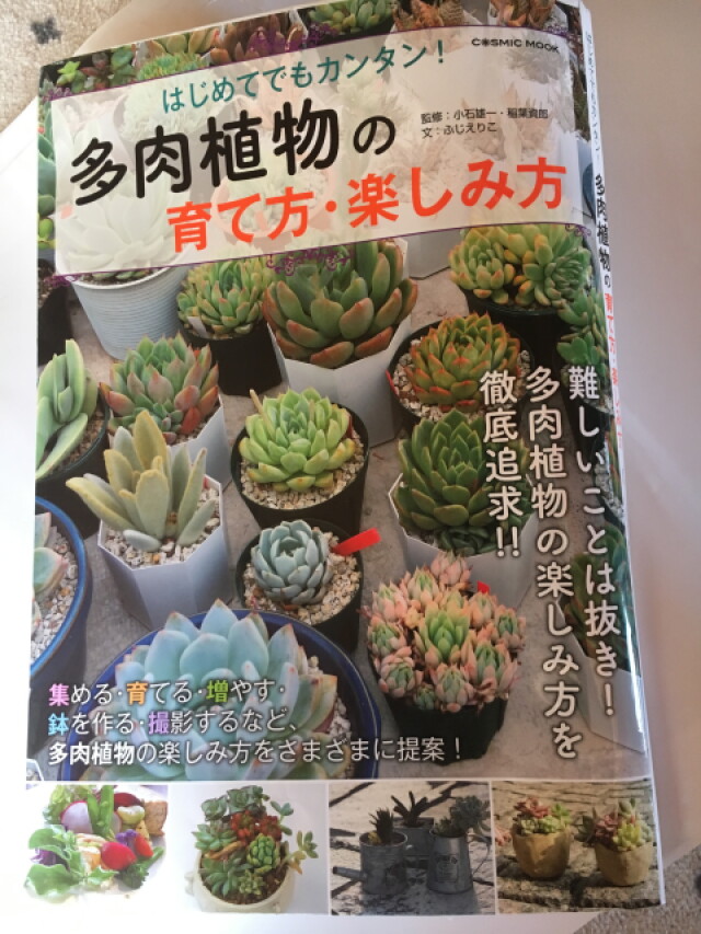 多肉植物 インスタ映えするちっちゃなガーデニング 番外編 多肉植物の本 コラム 緑のgoo