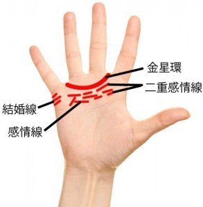 ギザギザ線 二重線に注意 浮気っぽい手相 をチェック コラム 緑のgoo
