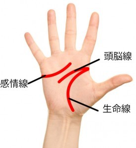 恋に不器用な人の手相