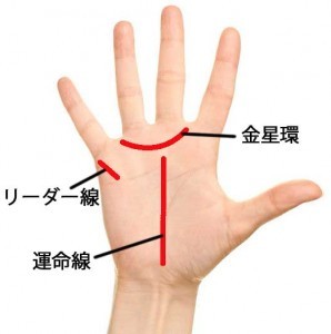 年下の恋人とうまくいく人の手相