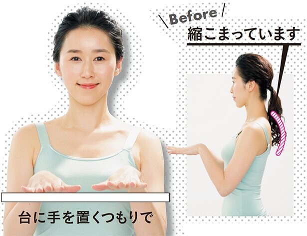 知ってる 今 美人はみんな 胸鎖乳突筋 を鍛えてる コラム 緑のgoo 知ってる 今 美人はみんな 胸鎖乳突筋 を鍛えてる コラム 緑のgoo
