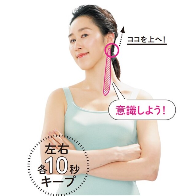 知ってる 今 美人はみんな 胸鎖乳突筋 を鍛えてる コラム 緑のgoo 知ってる 今 美人はみんな 胸鎖乳突筋 を鍛えてる コラム 緑のgoo