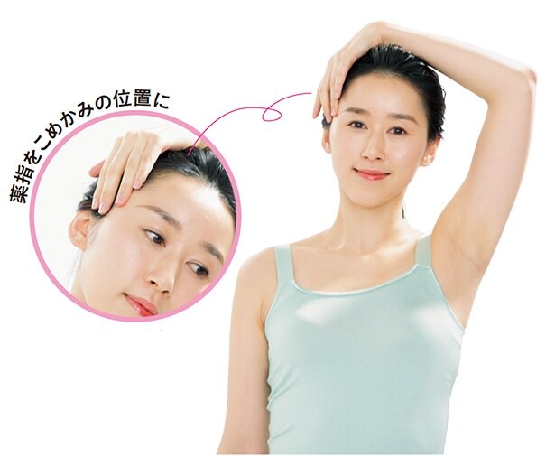 知ってる 今 美人はみんな 胸鎖乳突筋 を鍛えてる コラム 緑のgoo 知ってる 今 美人はみんな 胸鎖乳突筋 を鍛えてる コラム 緑のgoo