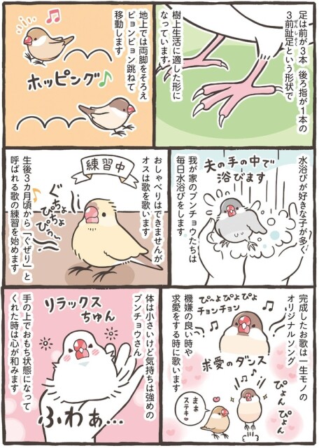 体は小さいけど気持ちは強めのブンチョウさん