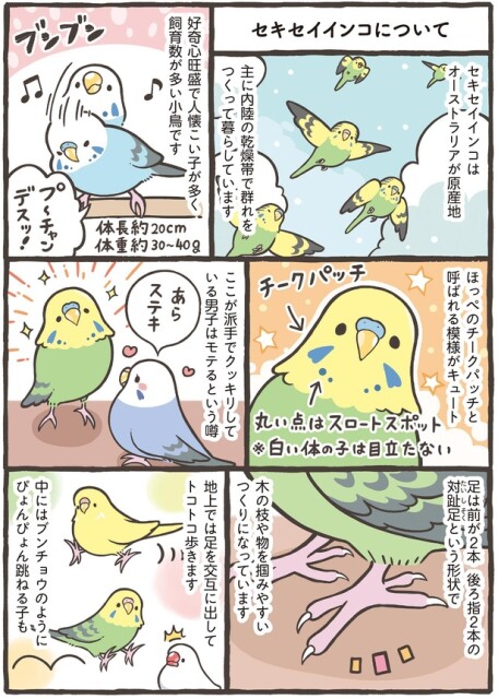ほっぺのチークパッチと呼ばれる模様がキュート