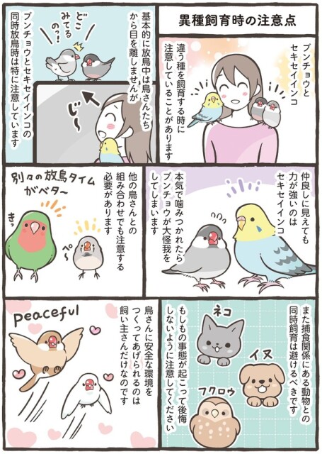 安全な環境を作ってあげられるのは飼い主さんだけなのです