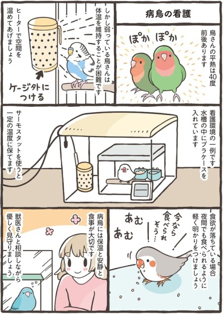 獣医さんと相談しながら優しく見守りましょう