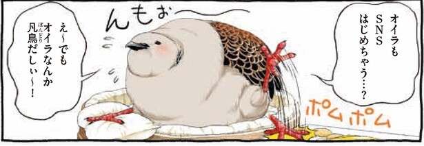 SNSはじめちゃう…？