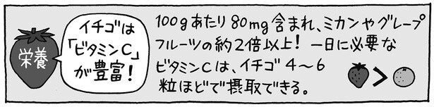 イチゴは「ビタミンC」が豊富！