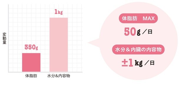 体脂肪と水分＆内容物の変動量