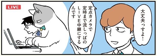 定点カメラでLIVE中継？