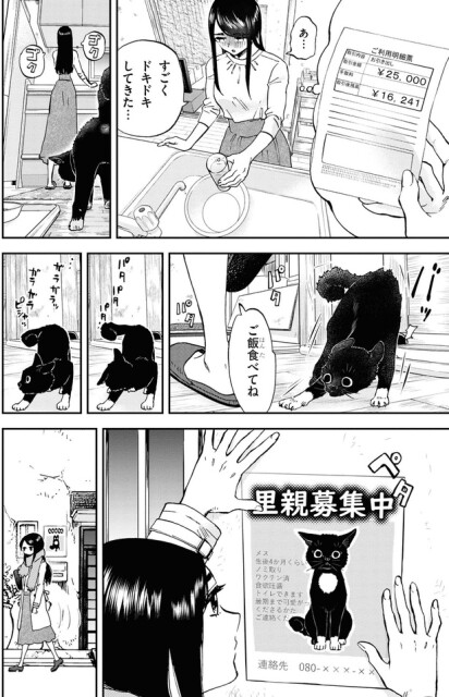 ご飯食べてね