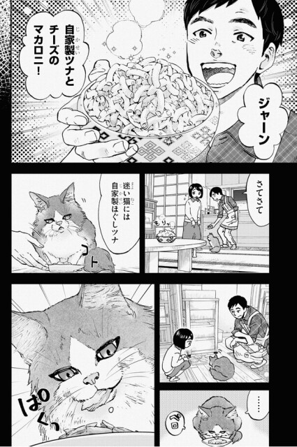 迷い猫には自家製ほぐしツナ